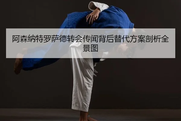 a-sen-na-te-luo-sa-de-zhuan-hui-chuan-wen-bei-hou-ti-dai-fang-an-pou-xi-quan-jing-tu-2-241.jpg