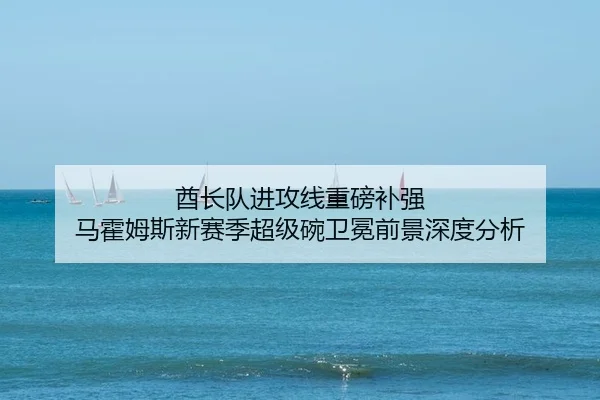 酋长队进攻线重磅补强 马霍姆斯新赛季超级碗卫冕前景深度分析